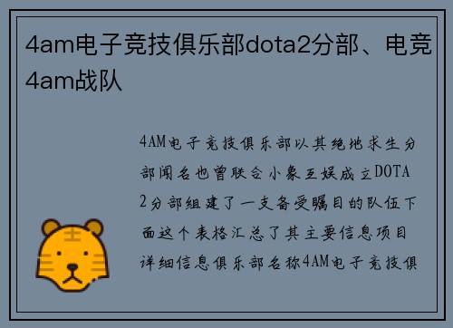 4am电子竞技俱乐部dota2分部、电竞4am战队